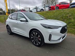 FORD KUGA 2024 (74) at Hammond Group Halesworth