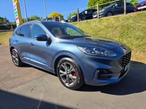 FORD KUGA 2022 (71) at Hammond Group Halesworth