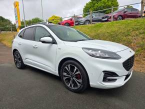 FORD KUGA 2022 (22) at Hammond Group Halesworth