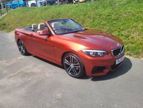 BMW 2 SERIES 2019 (19) at Hammond Group Halesworth