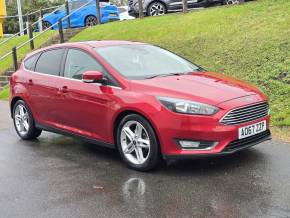 FORD FOCUS 2018 (67) at Hammond Group Halesworth