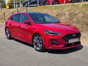FORD FOCUS at Hammond Group Halesworth