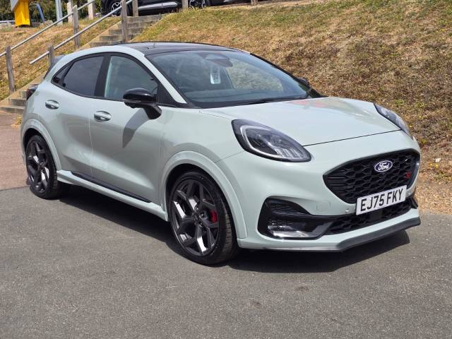 Ford Puma 1.0 EcoBoost Hybrid mHEV ST 5dr DCT Hatchback Hybrid Catus Grey
