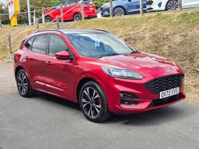 FORD KUGA at Hammond Group Halesworth