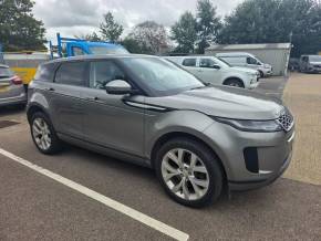 LAND ROVER RANGE ROVER EVOQUE at Hammond Group Halesworth