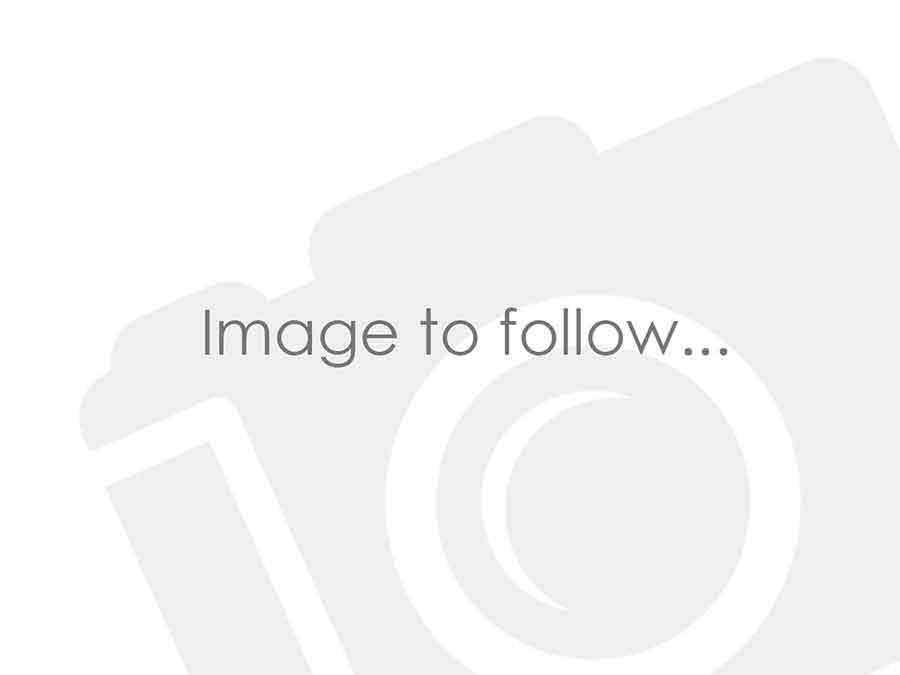 2023 MG Motor UK Mg4