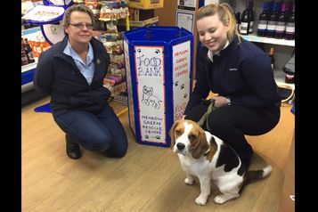 Christmas Collection For Dogs In Local Rescue Centre