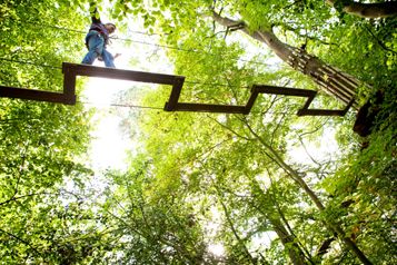 Midsummer Madness At Local School Sees Hammond Staff Monkeying Around