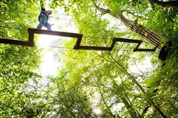 Midsummer Madness At Local School Sees Hammond Staff Monkeying Around