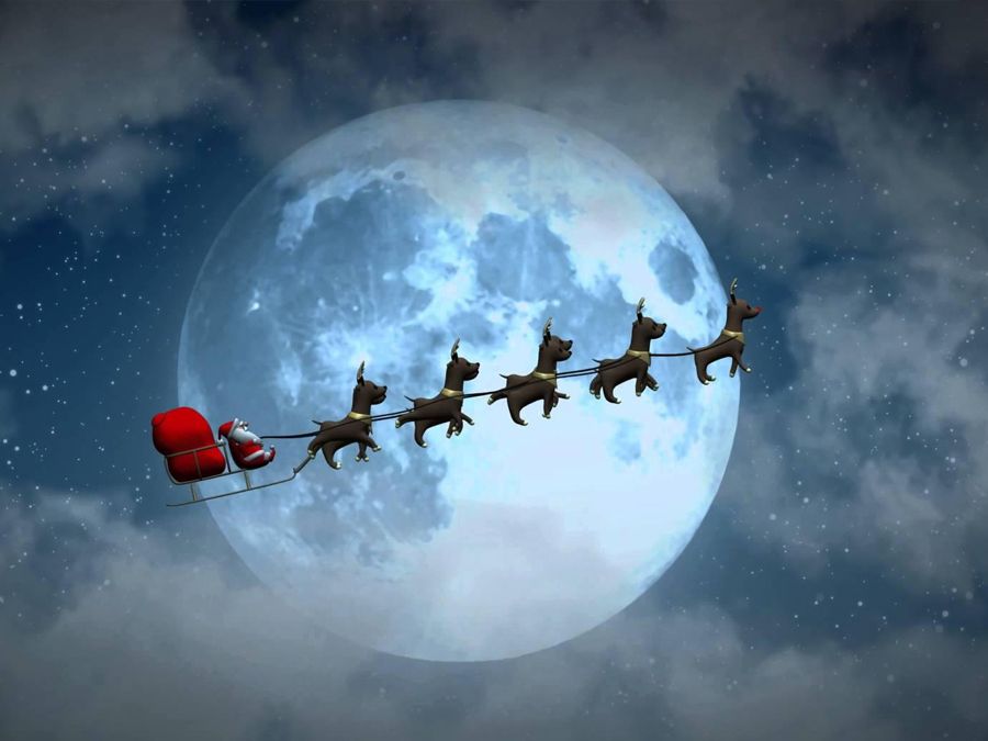 Sleigh Ride Helps Raise Money For Guide Dogs For The Blind.