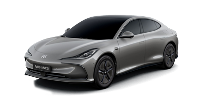 MG IM5 - Rembrandt Grey